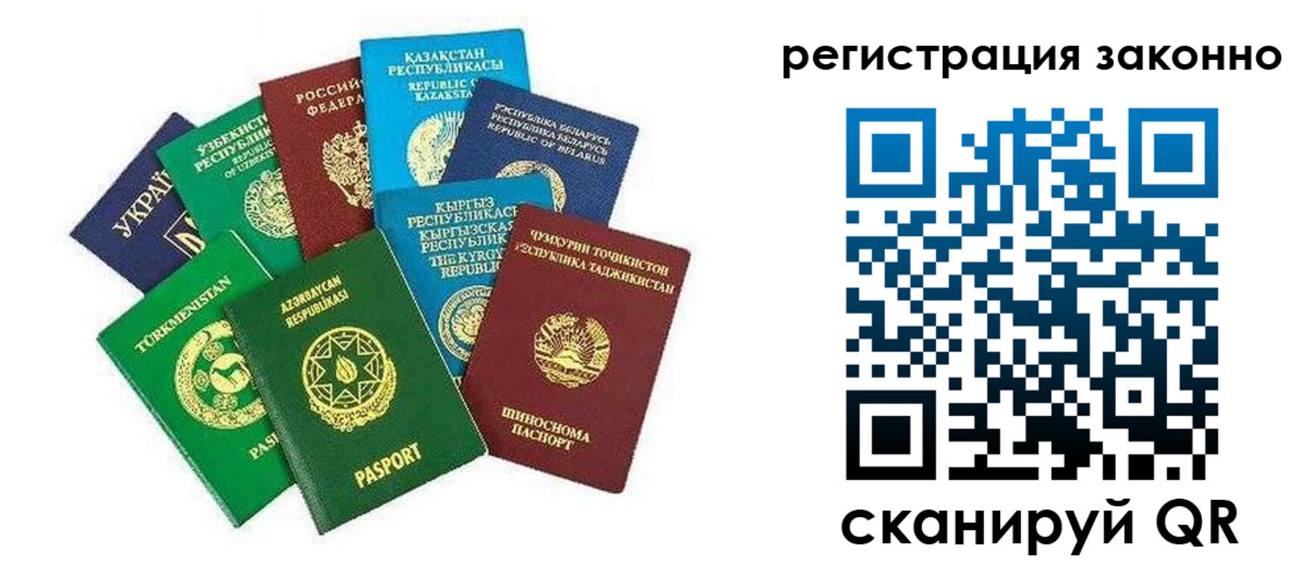 прописка 2025 в Венёве